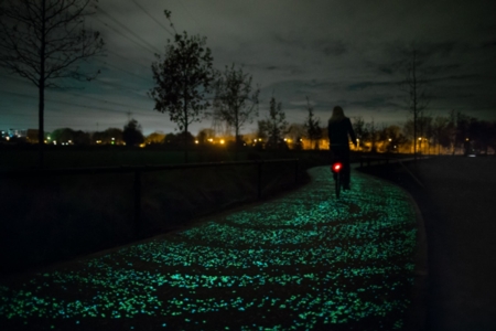Van Gogh Bicycle Path C
