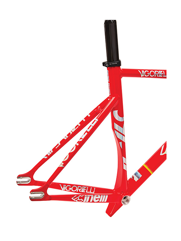 vigorelli shark 2021